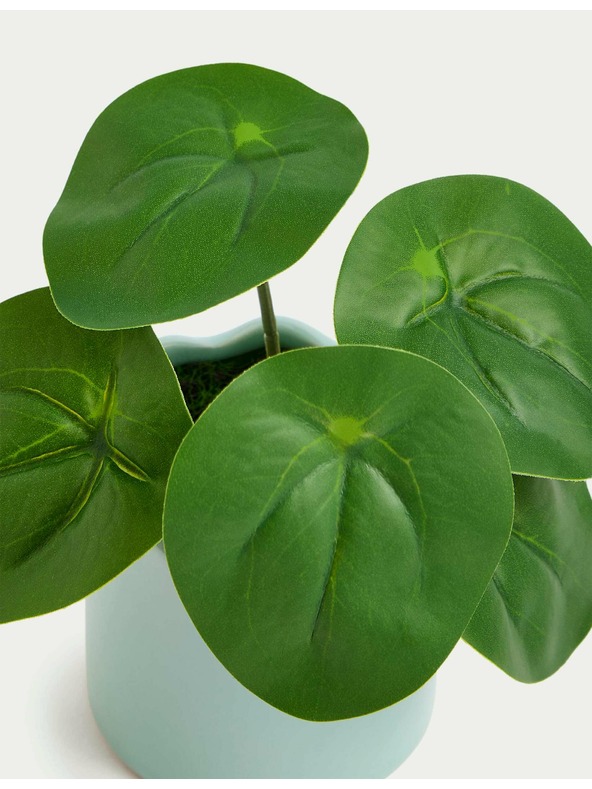 Marks & Spencer Umělá mini rostlina pilea v květináči Marks & Spencer modrá