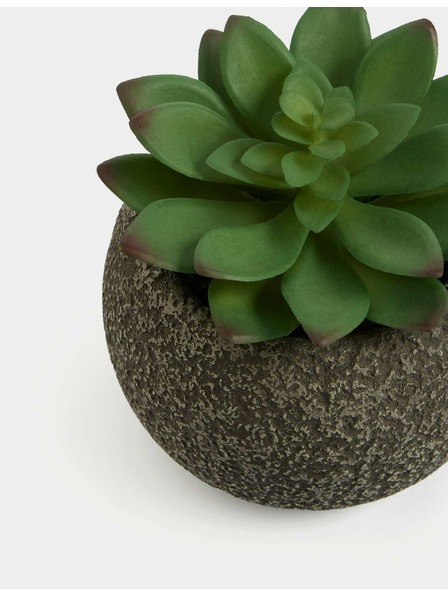 Marks & Spencer Umělý mini sukulent v betonovém květináči Marks & Spencer zelená