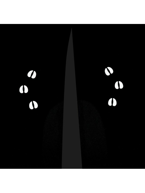 Kilpi Dětské lyžařské kalhoty Kilpi CHARLIE-J Černá