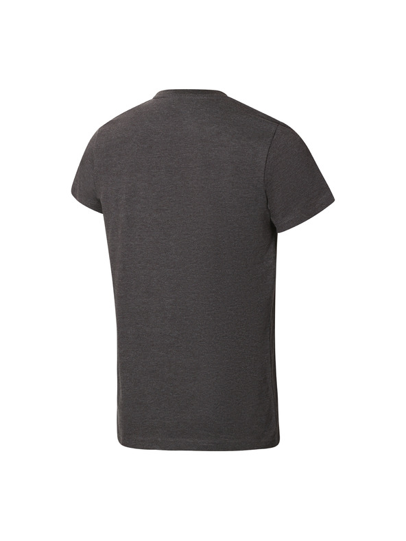 ALPINE PRO Pánské sportovní triko s cool dry ALPINE PRO BOLEN dk. true gray varianta pb