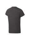 ALPINE PRO Pánské sportovní triko s cool dry ALPINE PRO BOLEN dk. true gray varianta pb