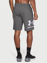 Under Armour Pánské kraťasy Under Armour Sportstyle Cotton Graphic Short
