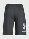 Under Armour Pánské kraťasy Under Armour Sportstyle Cotton Graphic Short
