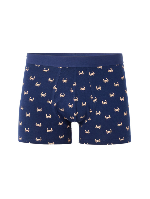 Celio Boxerky Nibocrabe
