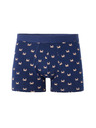 Celio Boxerky Nibocrabe
