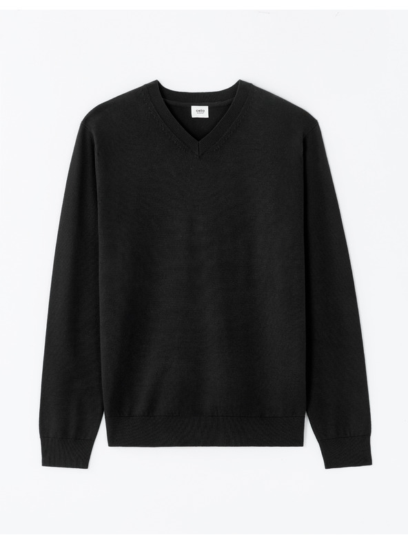 Celio Svetr Neviskozv