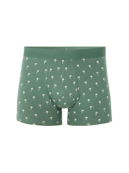 Celio Boxerky Nibopalma