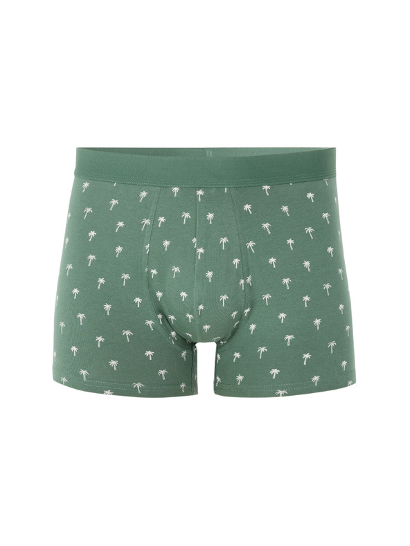 Celio Boxerky Nibopalma