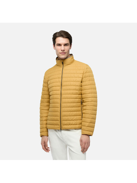 Geox Žlutá pánská péřová bunda Geox Warrens