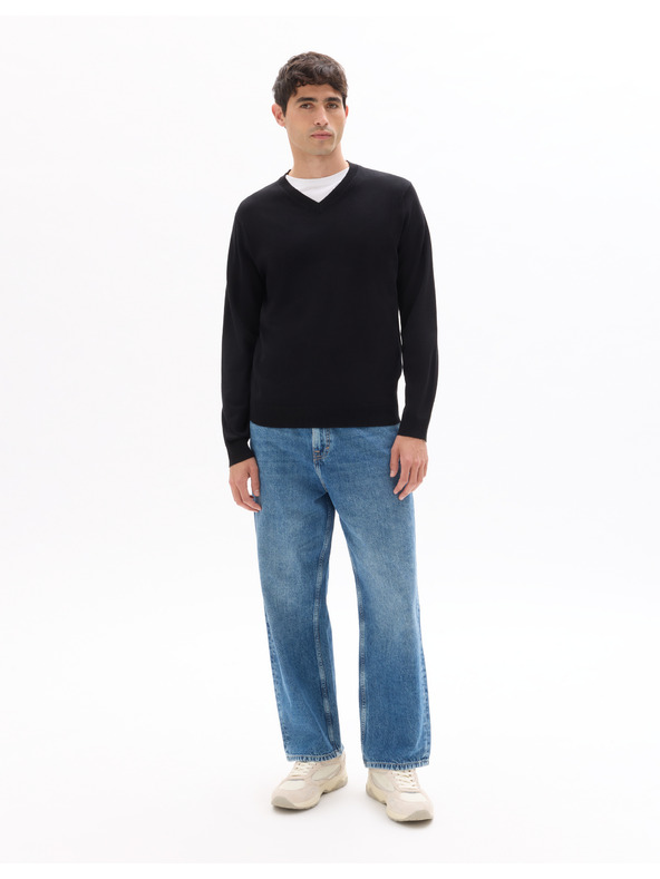 Celio Svetr Neviskozv