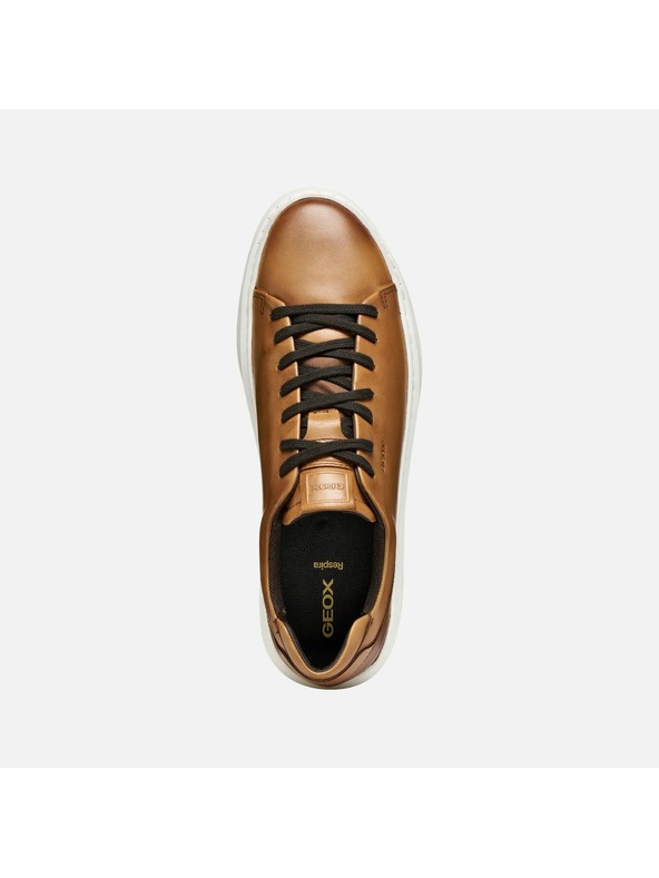Geox Světle hnědé pánské tenisky Geox Deiven