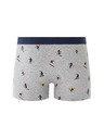 Celio Boxerky Miboski