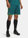Under Armour Pánské kraťasy Under Armour UA M Challenger Train Short