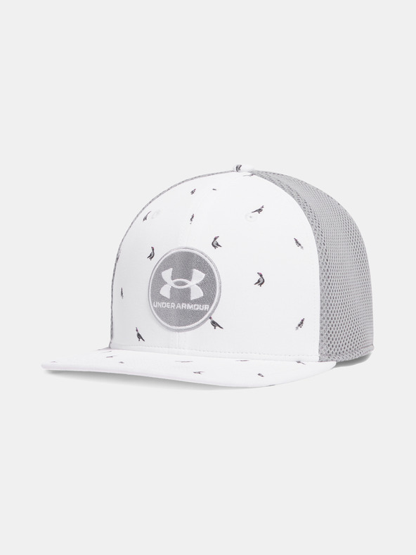Under Armour Pánská kšiltovka Under Armour M DRIVE PM STR
