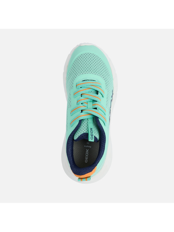 Geox Tyrkysové chlapecké tenisky Geox Flexyper Fast