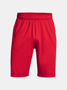 Under Armour Pánské kraťasy Under Armour Raid 2.0 Shorts
