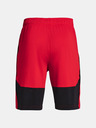 Under Armour Pánské kraťasy Under Armour Raid 2.0 Shorts