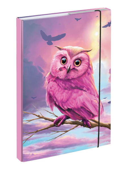 BAAGL  BAAGL Desky na školní sešity A4 Sova