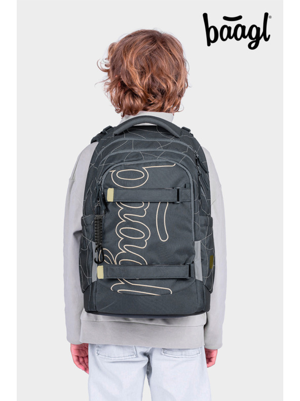 BAAGL  BAAGL Školní batoh Skate Max Wave GRS