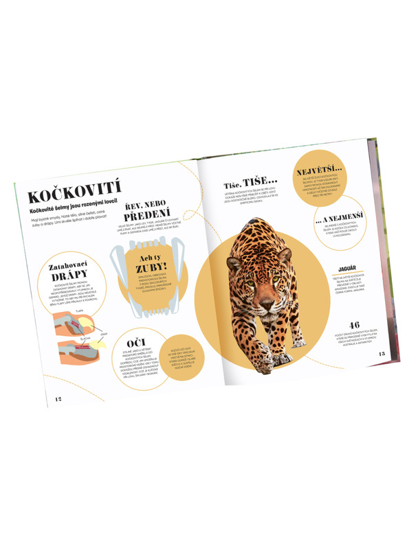 ELLA & MAX 5 MINUT A VÍM: PŘÍRODA – 1000+ základních informací