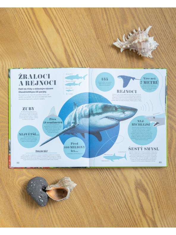 ELLA & MAX 5 MINUT A VÍM: PŘÍRODA – 1000+ základních informací