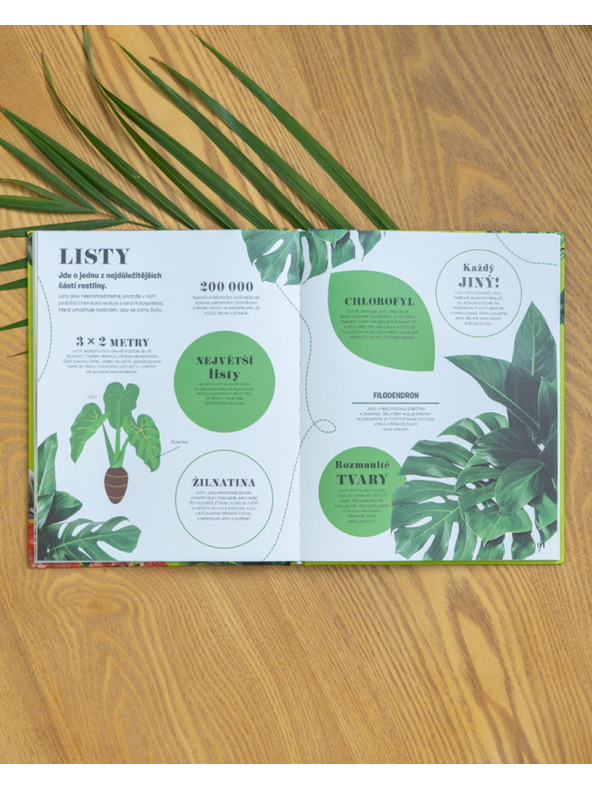 ELLA & MAX 5 MINUT A VÍM: PŘÍRODA – 1000+ základních informací