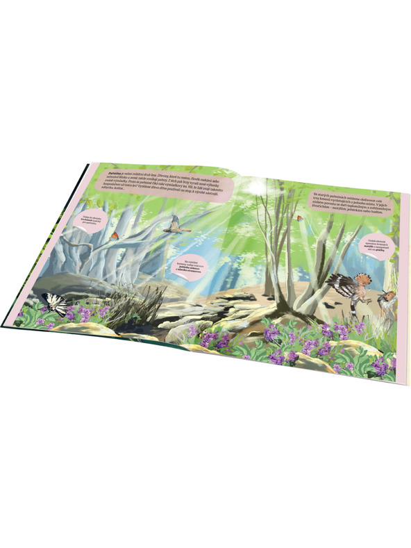 ELLA & MAX KOUZELNÝ SVĚT LESA – Kniha samolepek