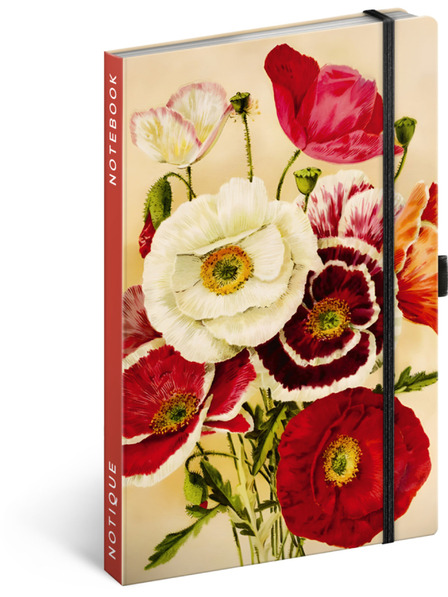 NOTIQUE NOTIQUE Notes Máky Kateřiny Winterové, linkovaný, 13 x 21 cm