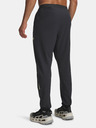 Under Armour Pánské sportovní kalhoty Under Armour M Explor Trail Run Pant-GRY