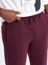Ombre Clothing Pánské bavlněné tepláky BASIC joggers  Ombre Clothing