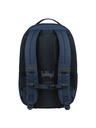 BAAGL  BAAGL Školní batoh Coolmate Lux GRS