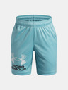 Under Armour Chlapecké kraťasy Under Armour UA Tech Logo Shorts