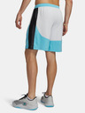 Under Armour Pánské kraťasy Under Armour UA Hoops Splash Short
