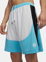 Under Armour Pánské kraťasy Under Armour UA Hoops Splash Short