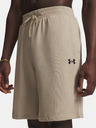 Under Armour Pánské kraťasy Under Armour UA Rival LW Shorts