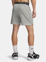Under Armour Pánské kraťasy Under Armour UA Vanish Woven 6in Shorts