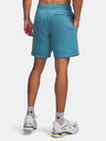 Under Armour Pánské kraťasy Under Armour UA Icon Fleece Short