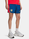 Under Armour Pánské kraťasy Under Armour UA 96 Terrace Country Short