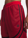 Under Armour Pánské kraťasy Under Armour UA M Hoops Sig Short