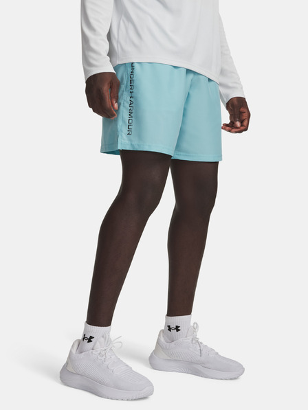 Under Armour Pánské kraťasy Under Armour UA Tech Woven Wordmark Short
