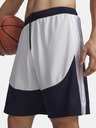 Under Armour Pánské kraťasy Under Armour UA Hoops Splash Short