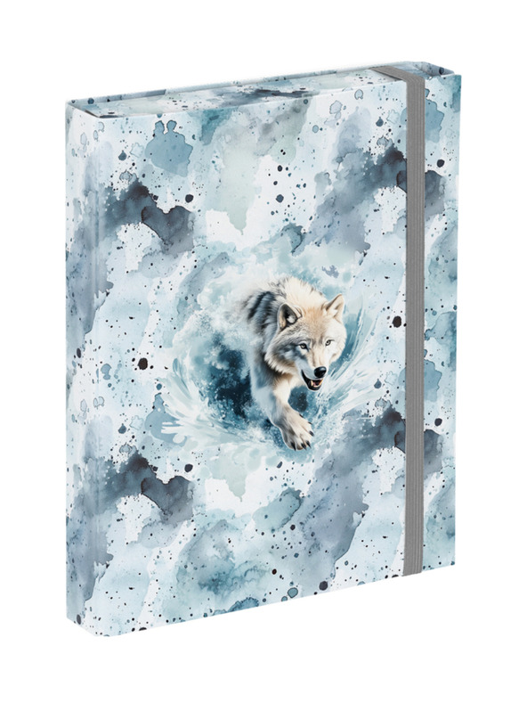 BAAGL  BAAGL Desky na školní sešity A5 Polar