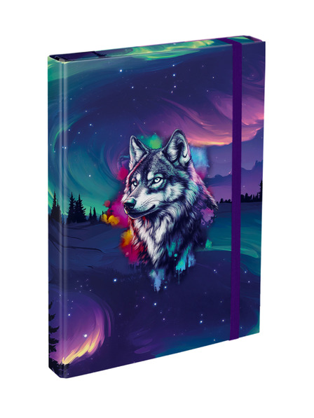 BAAGL  BAAGL Desky na školní sešity A4 Aurora