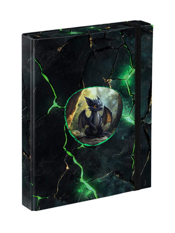 BAAGL  BAAGL Desky na školní sešity A5 Draci