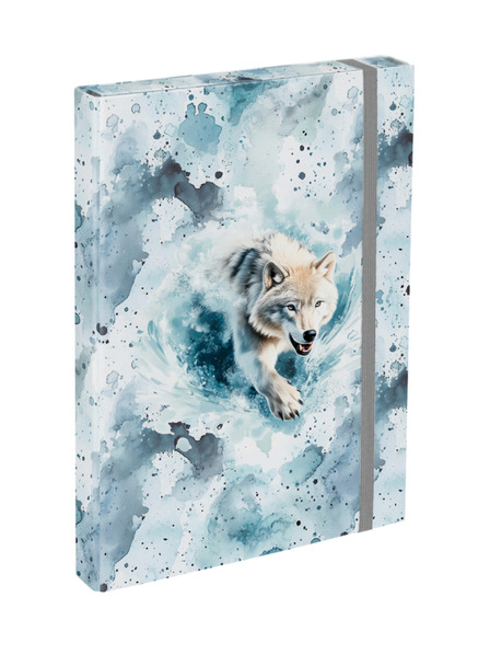 BAAGL  BAAGL Desky na školní sešity A4 Polar