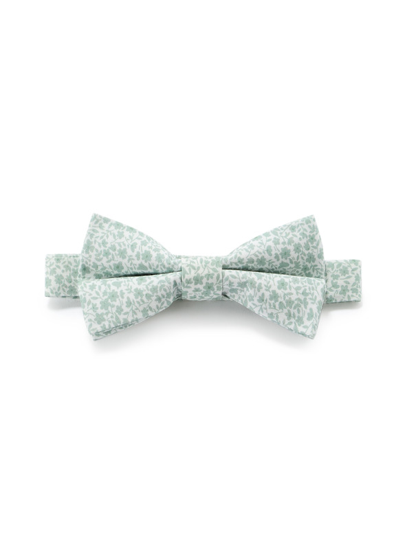 Celio Motýlek Nibowaop1