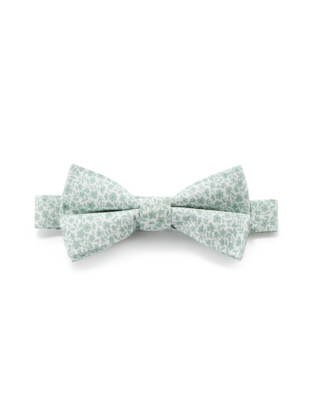 Celio Motýlek Nibowaop1