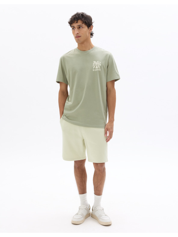 Celio Kraťasy Loshort2