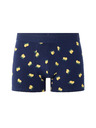 Celio Boxerky Nibolemon