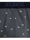 Atlantic Pánské sportovní slipy ATLANTIC 3Pack - vícebarevné Velikost: